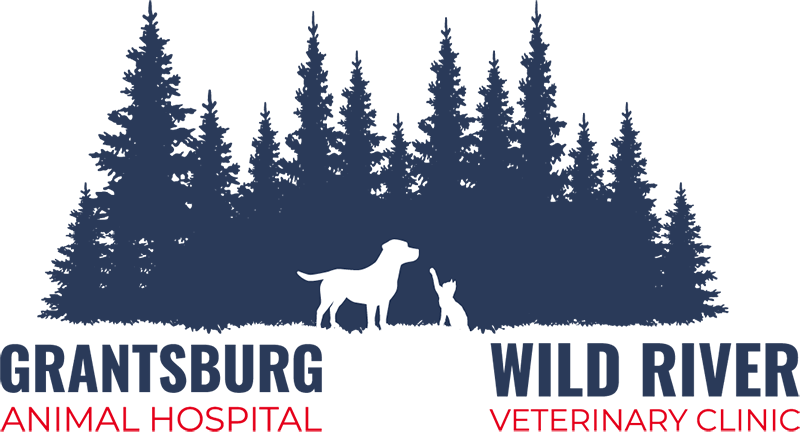 Grantsburg Animal Hospital & Wild River Veterinary Clinic logo