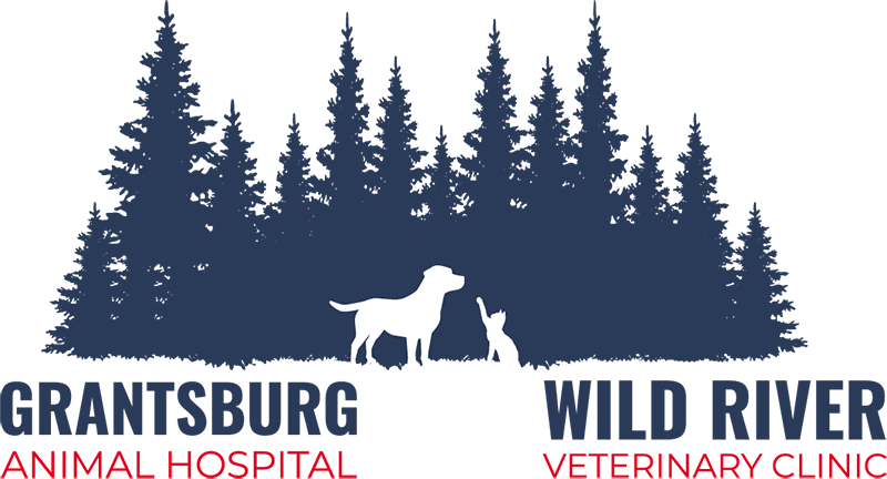 Grantsburg Animal Hospital & Wild River Veterinary Clinic logo