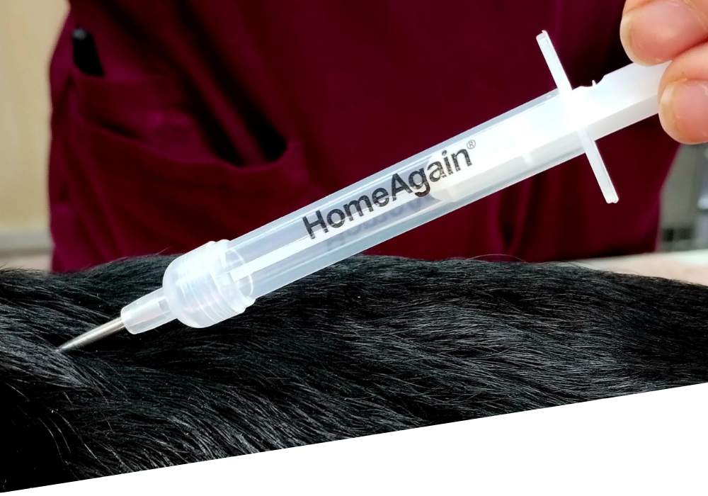 micro-bannern inject microchip