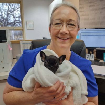 vet staff holding a puppy